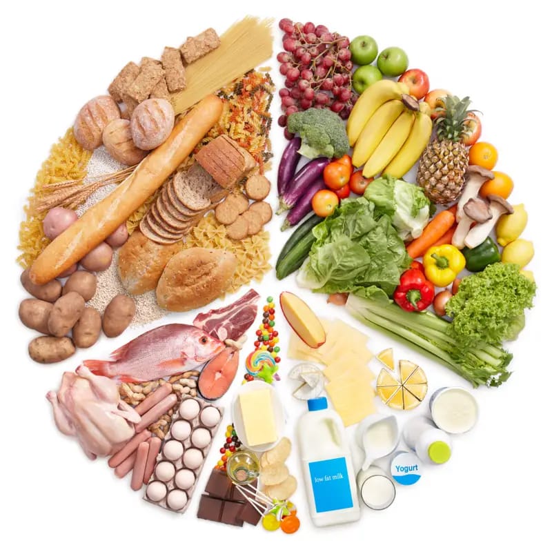 Fuel Your Body
